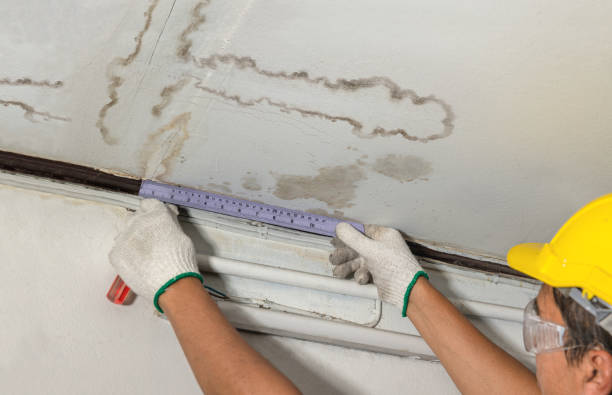 Reliable Water Damage contractor in Brownsville, OR by Water Damage Irwin